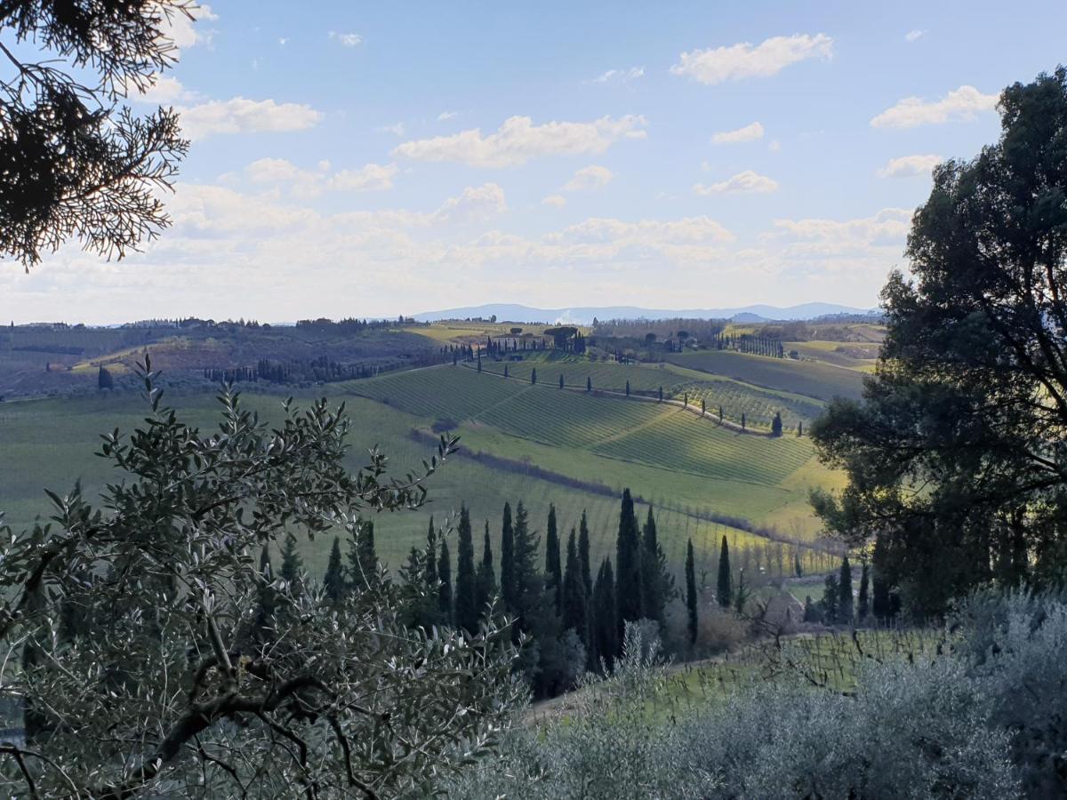 Villino Del Grillo Agroturismo