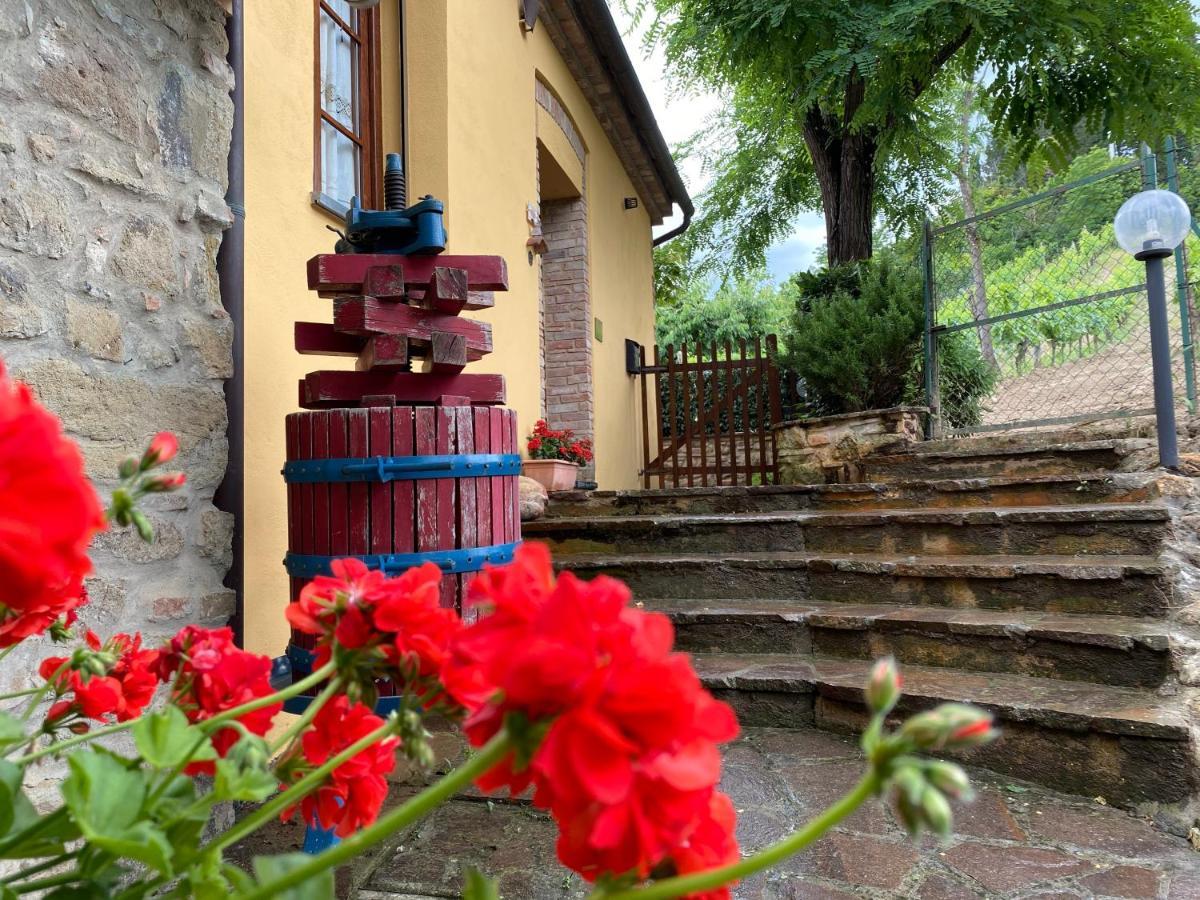 Villino Del Grillo Agroturismo San Gimignano